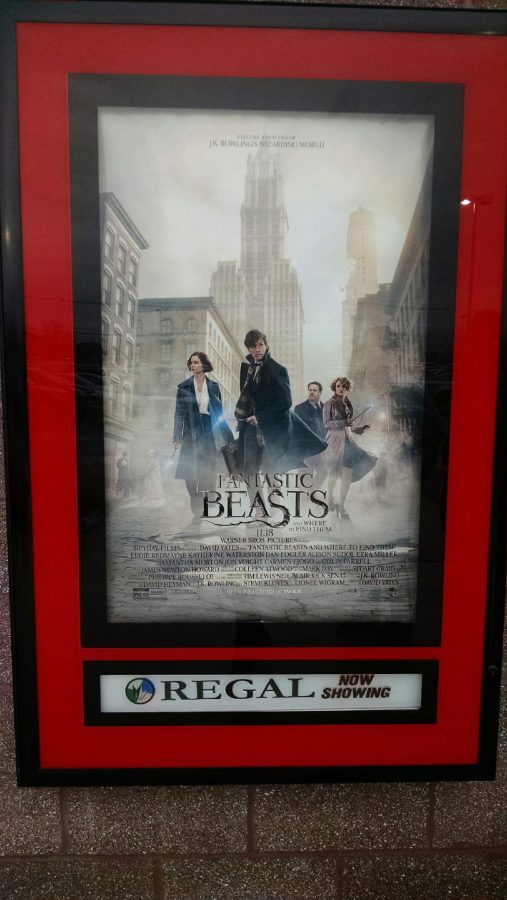 Everyones Finding Fantastic Beasts in Their Hearts