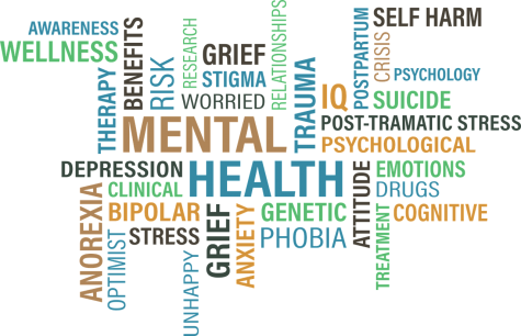 Mental Health Services in Schools: A Silent Epidemic