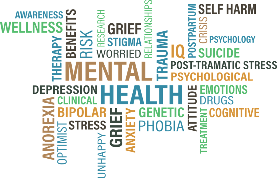 Mental Health Services in Schools: A Silent Epidemic