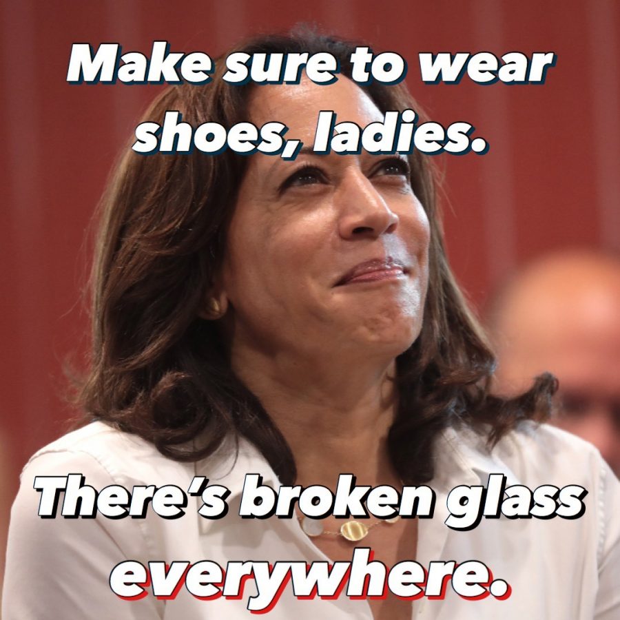 Shattering the Glass Ceiling: Historical Women's Rights Moments