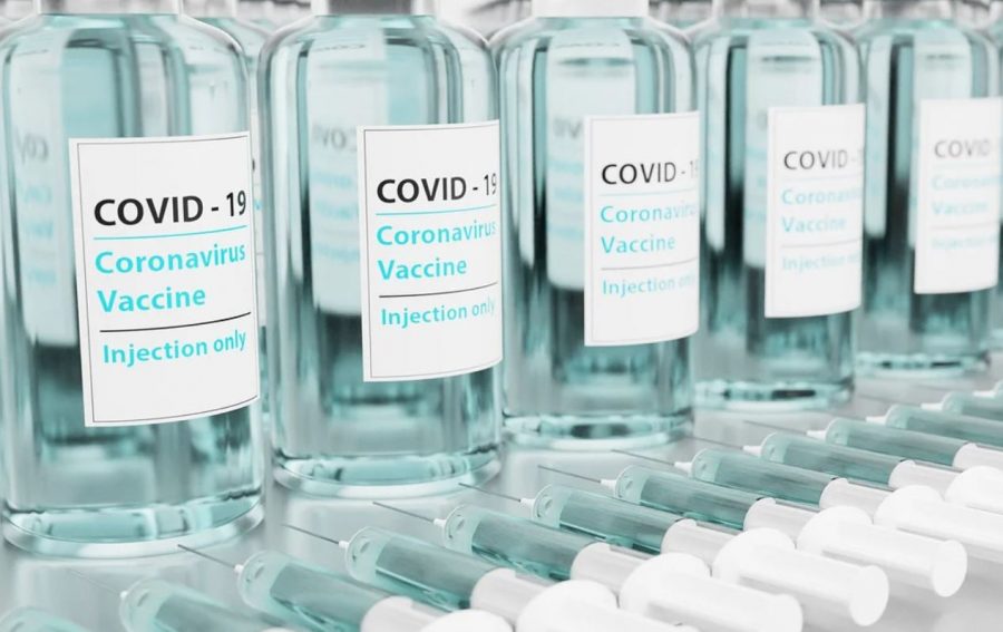 COVID-19 Vaccine
 
