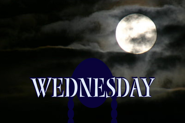 Does Wednesday Blink in Tim Burton and Netflix's Wednesday? Why