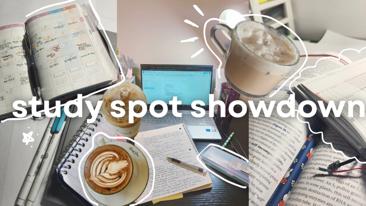 Study Spot Showdown